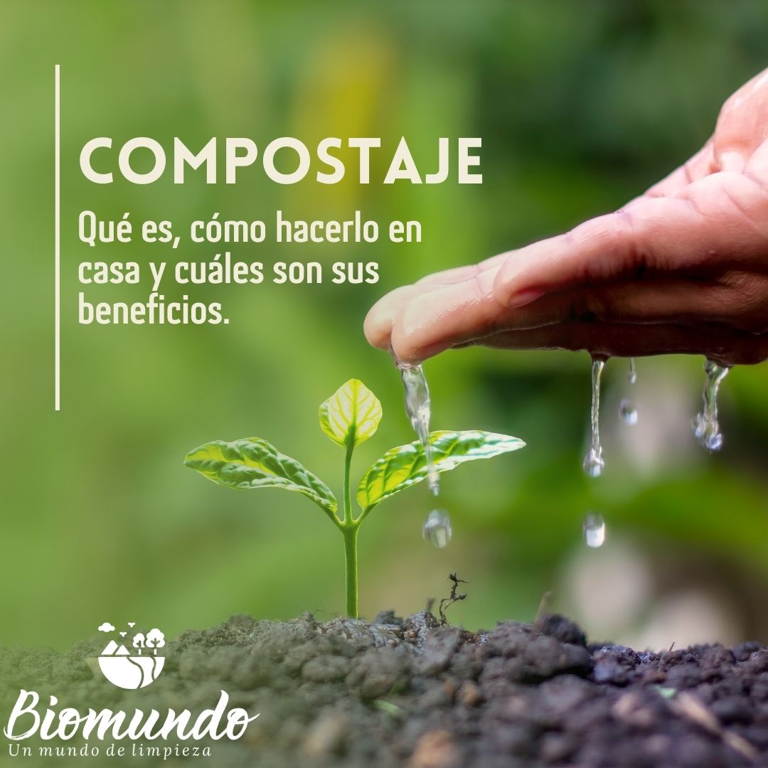 Qué es, cómo hacer compostaje en casa y sus beneficios para el medio a ...
